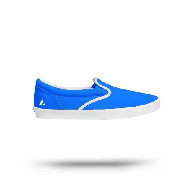 Blue-White Shoe